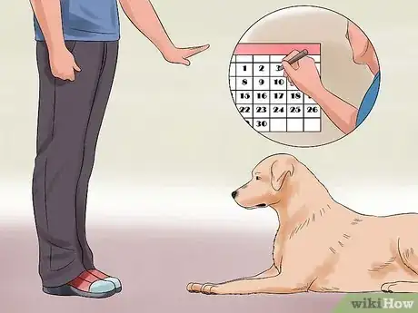 Image intitulée Teach Your Dog to Play Dead on Command Step 6