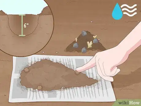 Image intitulée Improve Soil Step 11