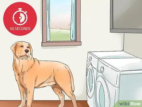 Image intitulée Discipline Your Dog Step 10