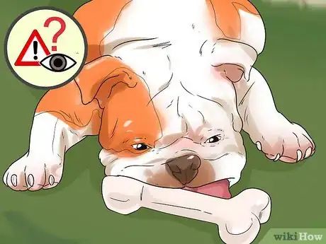 Image intitulée Discipline Your Dog Step 15