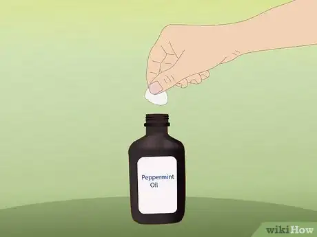Image intitulée Control Fleas by Using Peppermint Step 5