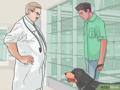 Image intitulée Discipline Your Dog Step 12