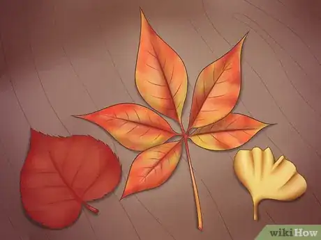 Image intitulée Preserve Fall Leaves Step 13