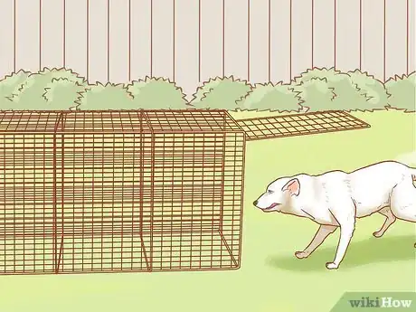 Image intitulée Keep Stray Dogs Away from Backyard Step 12