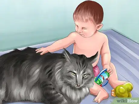 Image intitulée Identify a Maine Coon Step 7