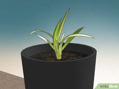 Image intitulée Prune a Spider Plant Step 8