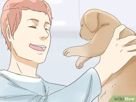 Image intitulée Take Care of a Pitbull Puppy Step 12