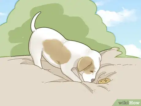 Image intitulée Take Care of a Pitbull Puppy Step 10