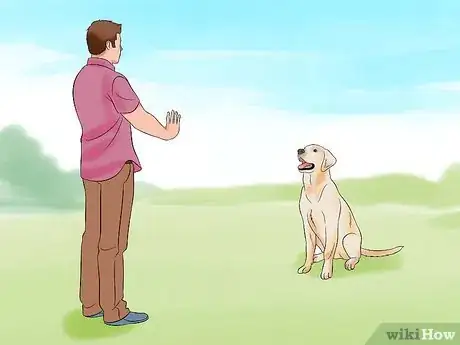 Image intitulée Teach Your Dog to Play Dead on Command Step 13