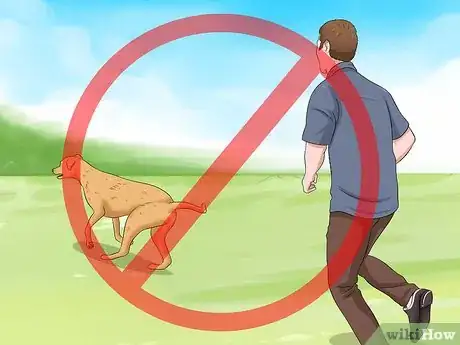 Image intitulée Bathe a Dog and Keep It Calm Step 8