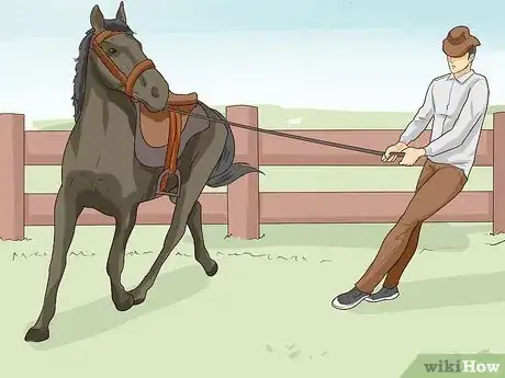 Image intitulée Break a Horse Step 23
