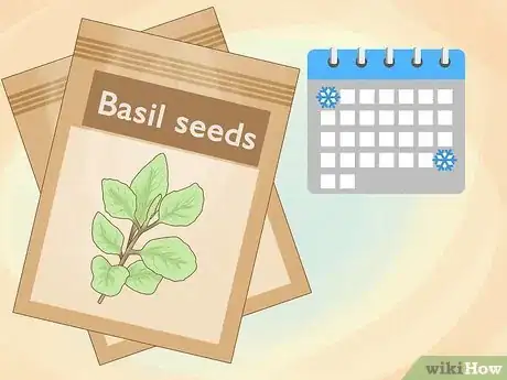 Image intitulée Grow Basil Step 2