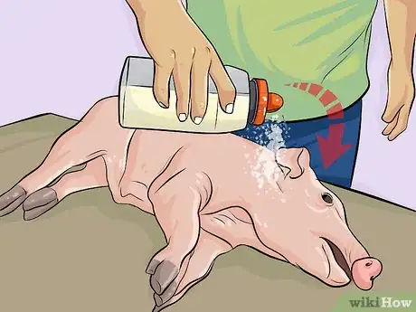 Image intitulée Cook a Whole Pig Step 7