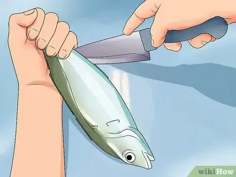 Image intitulée Clean_Gut a Fish Step 5