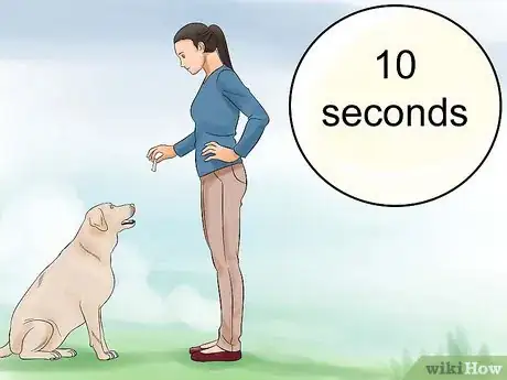 Image intitulée Teach Your Dog to Play Dead on Command Step 11