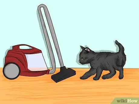 Image intitulée Teach Your Pet Not to be Scared of the Vacuum Cleaner Step 14