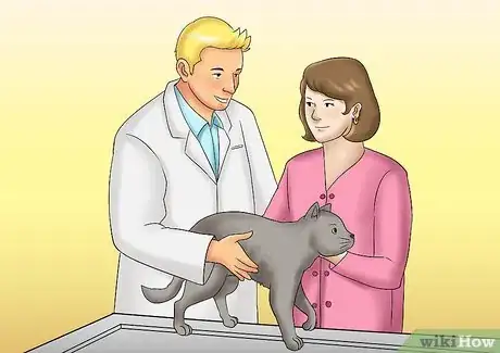 Image intitulée Care for a Cat with Kidney Failure Step 9