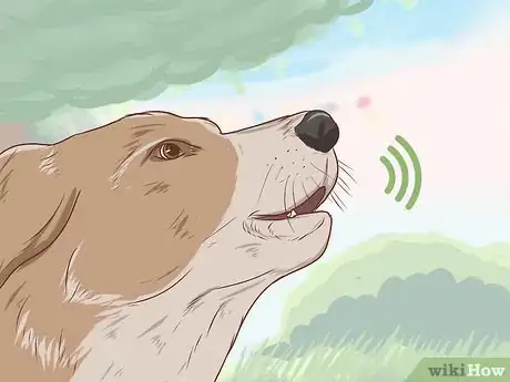 Image intitulée Communicate With Your Dog Step 13