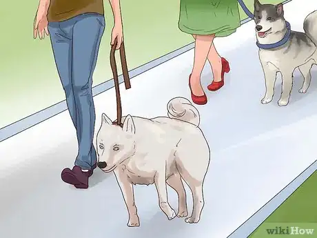 Image intitulée Train Your Dog for a Dog Show Step 2
