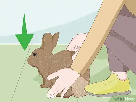 Image intitulée Care for Dwarf Rabbits Step 14