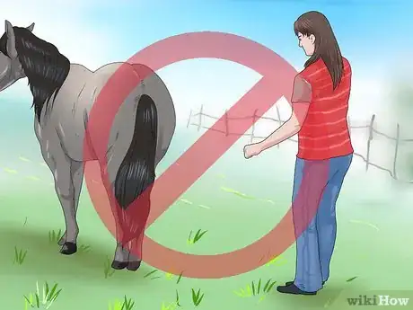 Image intitulée Approach Your Horse Step 14