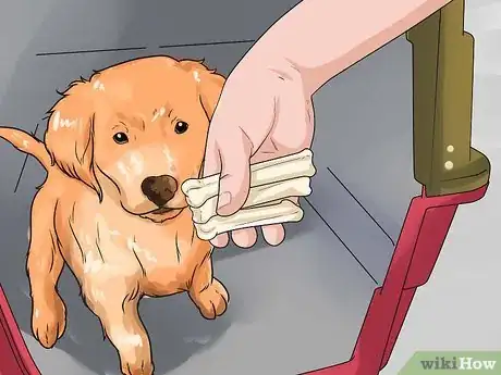 Image intitulée Train a Golden Retriever Puppy Step 29