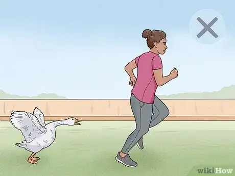 Image intitulée Stop a Goose Attack Step 8