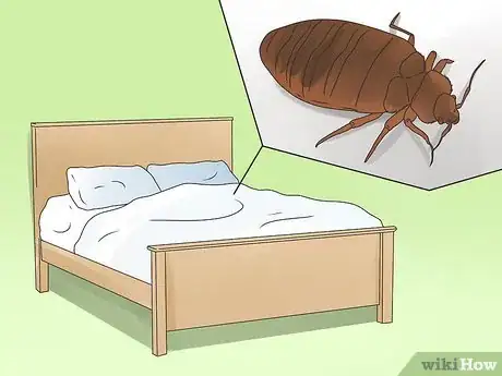 Image intitulée Prevent Bed Bugs Step 2