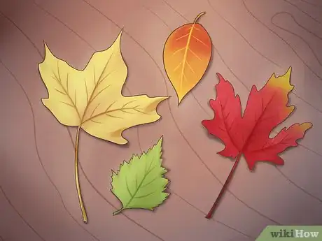 Image intitulée Preserve Fall Leaves Step 18