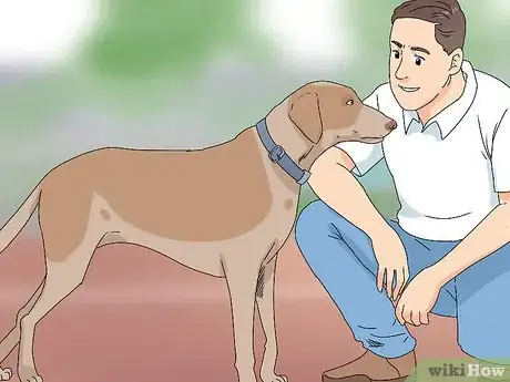 Image intitulée Determine if Your Dog Is Obese Step 13