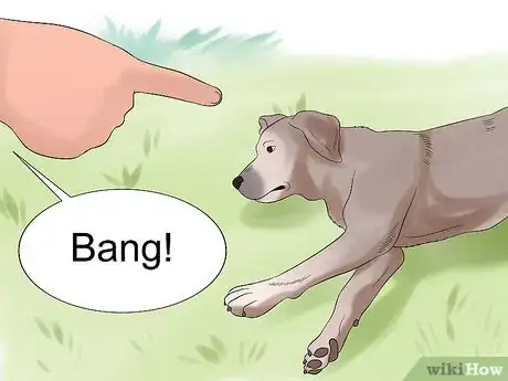 Image intitulée Teach Your Dog to Play Dead on Command Step 18
