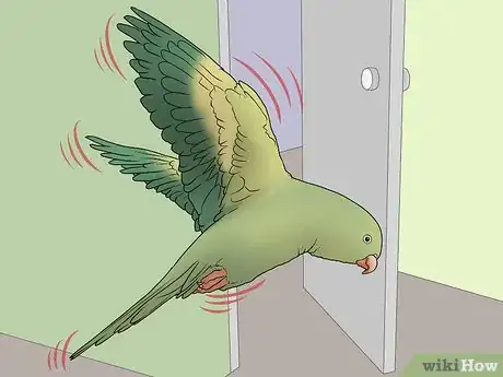 Image intitulée Amuse Your Parakeet or Other Bird Step 7