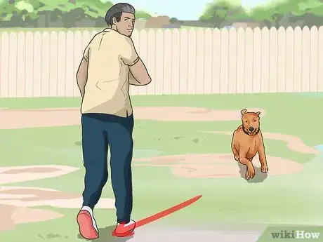 Image intitulée Train a Dog to Come Step 5