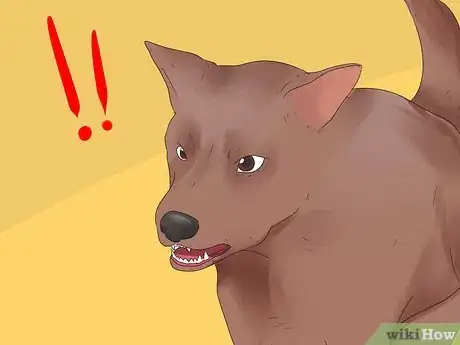 Image intitulée Make a Dog Stop Biting Step 2
