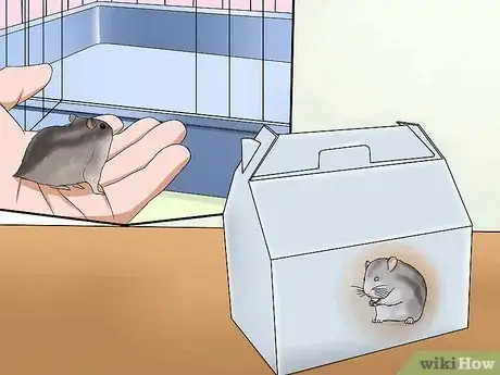 Image intitulée Choose a Hamster Step 10