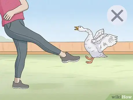 Image intitulée Stop a Goose Attack Step 6