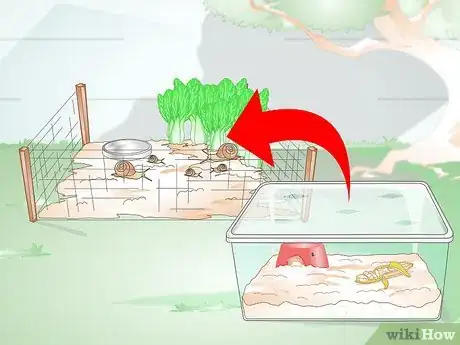 Image intitulée Build a Snail House Step 13