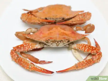 Image intitulée Cook a Crab Final