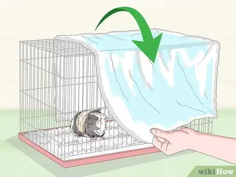 Image intitulée Keep Your Guinea Pig Cool in Hot Weather Step 13