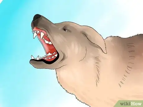 Image intitulée Approach a Shy or Fearful Dog Step 4