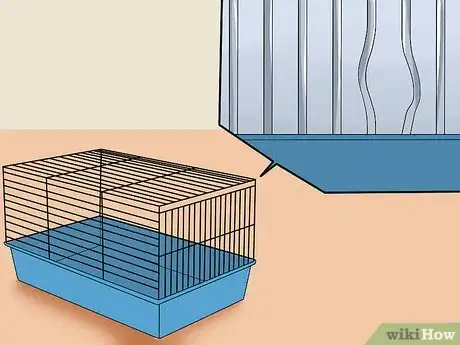 Image intitulée Find a Lost Hamster Step 12