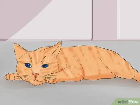 Image intitulée Retrain a Cat to Use the Litter Box Step 11