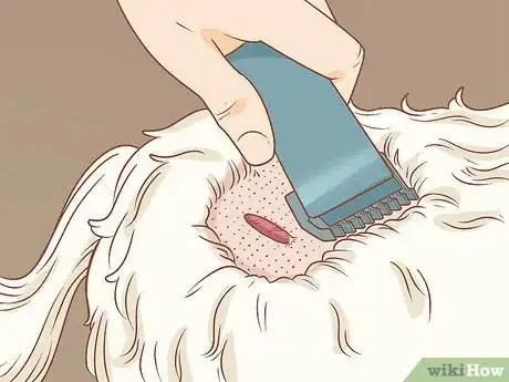 Image intitulée Remove a Dog’s Skin Tags at Home Step 2