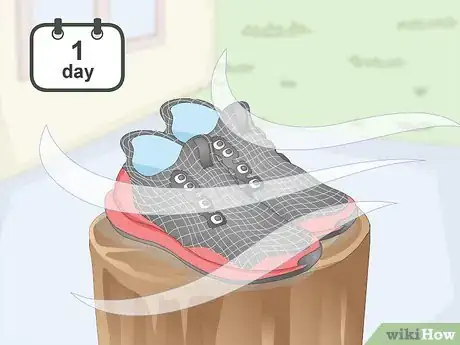 Image intitulée Clean Mesh Shoes Step 12