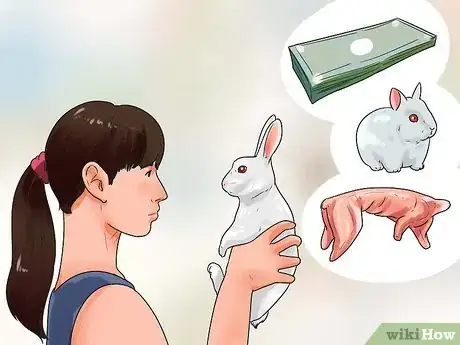 Image intitulée Breed Rabbits Step 1