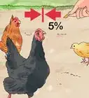 vermifuger vos poules