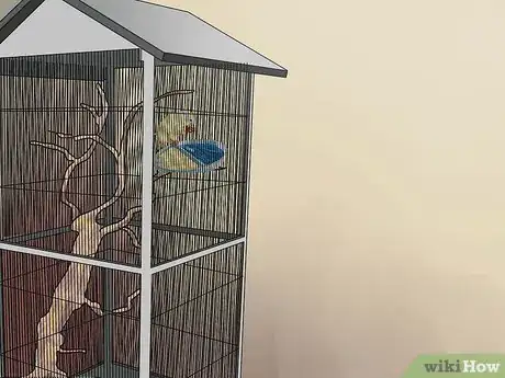 Image intitulée Make a Safe Environment for Your Pet Bird Step 16