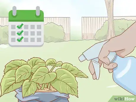 Image intitulée Get Rid of Powdery Mildew on Plants Step 8