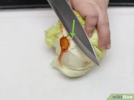 Image intitulée Shred Lettuce Step 2