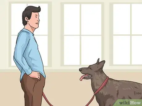 Image intitulée Train a Dog to Come Step 9